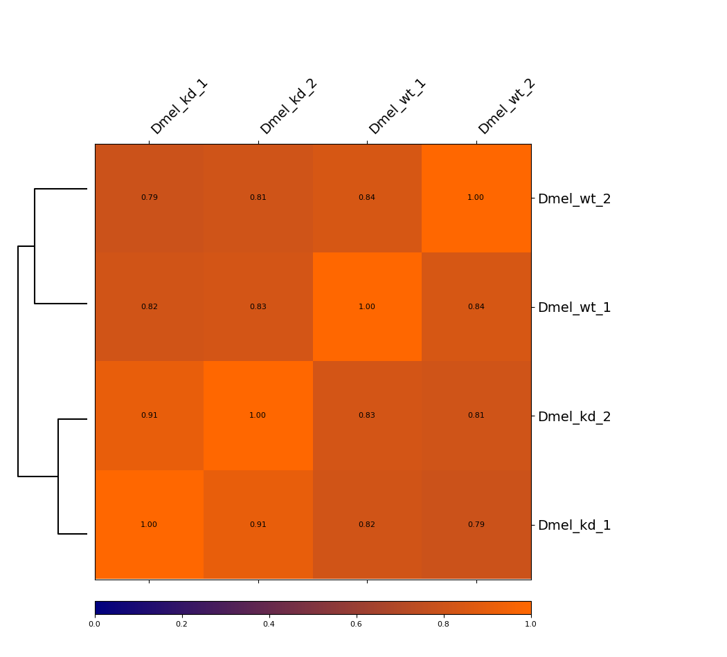 /repository/static/images/0da40710e6b63f45/hicCorrelate_Dmel_heatmap.png